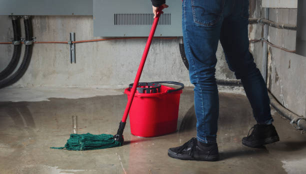 Best Water damage contractors near me  in Dutch Island, GA