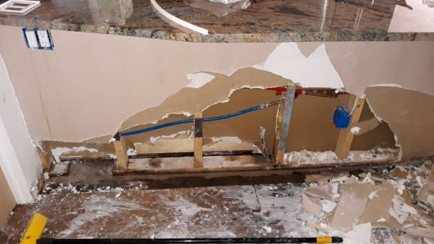 Best Sewage cleanup and water damage restoration  in Dutch Island, GA