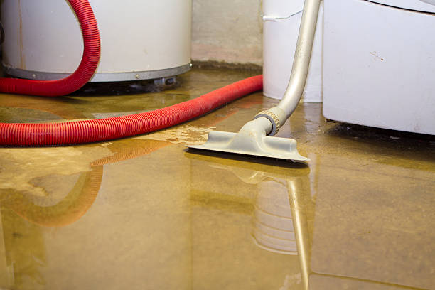Best Flood damage cleanup  in Dutch Island, GA