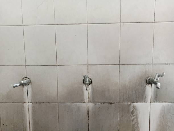 Best Fire Damage Restoration  in Dutch Island, GA