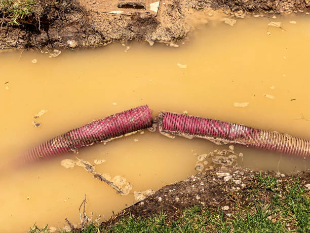  Dutch Island, GA Water damage restoration Pros