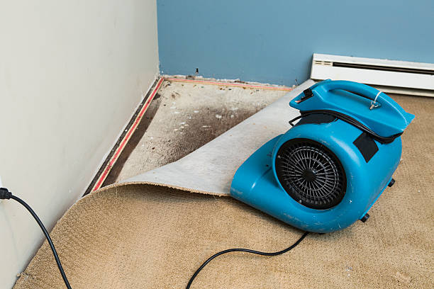 Professional Water damage restoration in Dutch Island, GA
